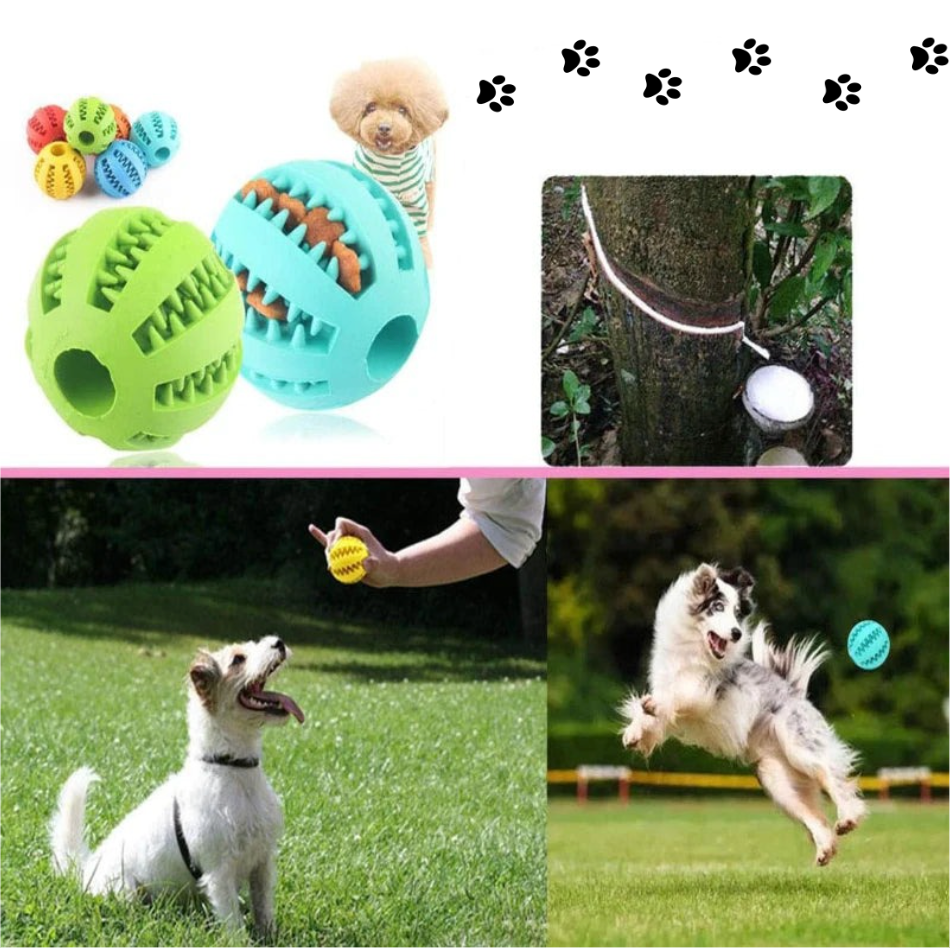 Interactive Rubber Ball Toy for Dogs 🐕