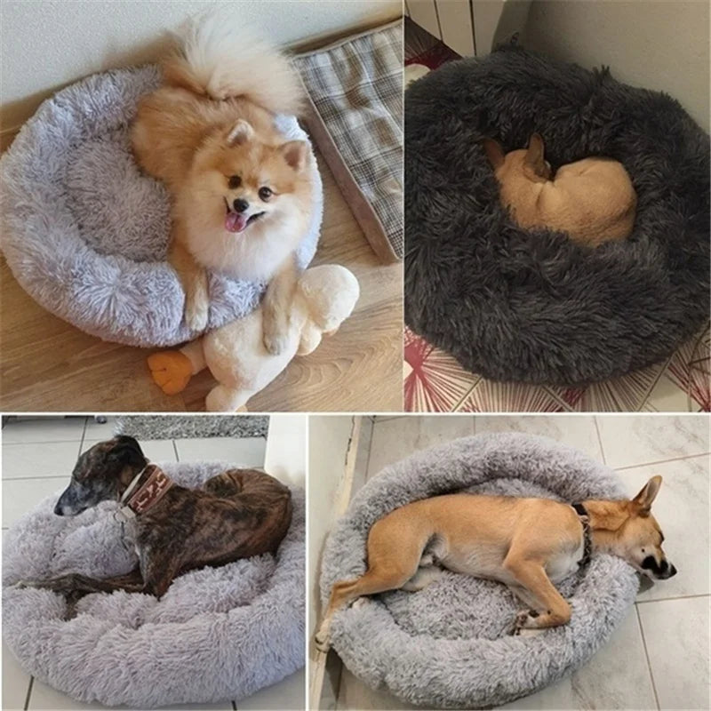 Cuddly Donut Bed for Cats and Dogs 🐶