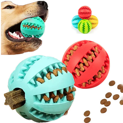 Interactive Rubber Ball Toy for Dogs 🐕